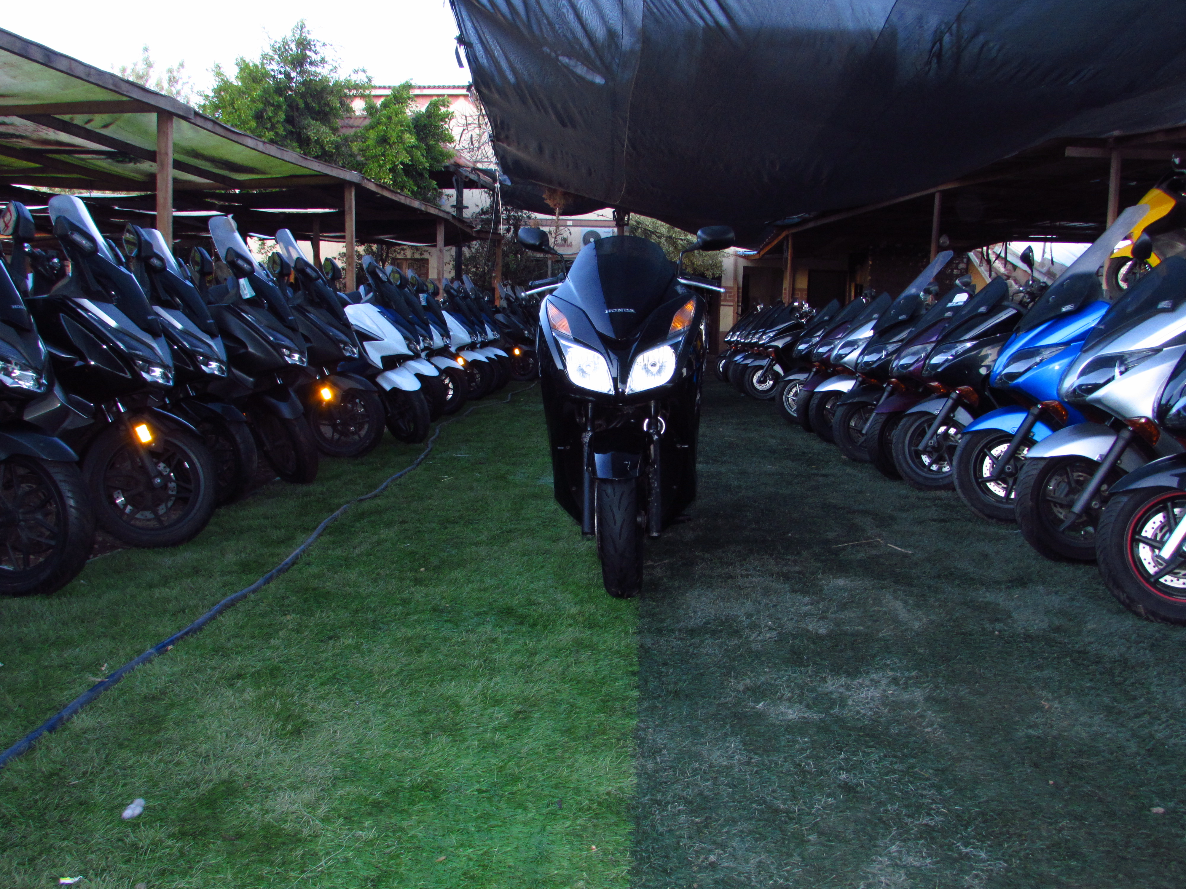 هوندا فورزا f12 استيراد اليابان حالة الزيرو- النجدى للاستيراد والتجارة