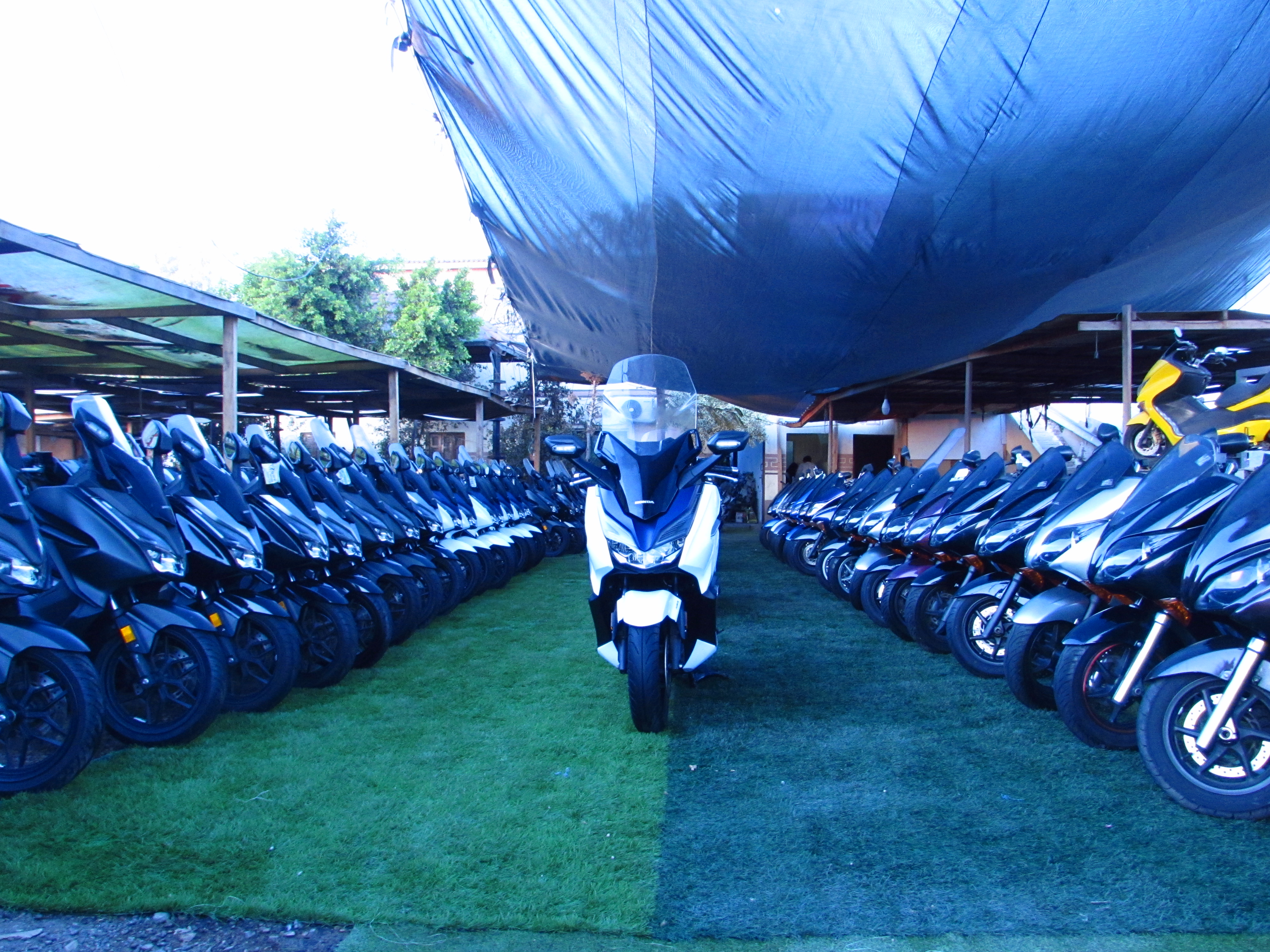 هوندا فورزا F13 حالة الزيرو- استيراد اليابان -النجدى للاستيراد والتجارة